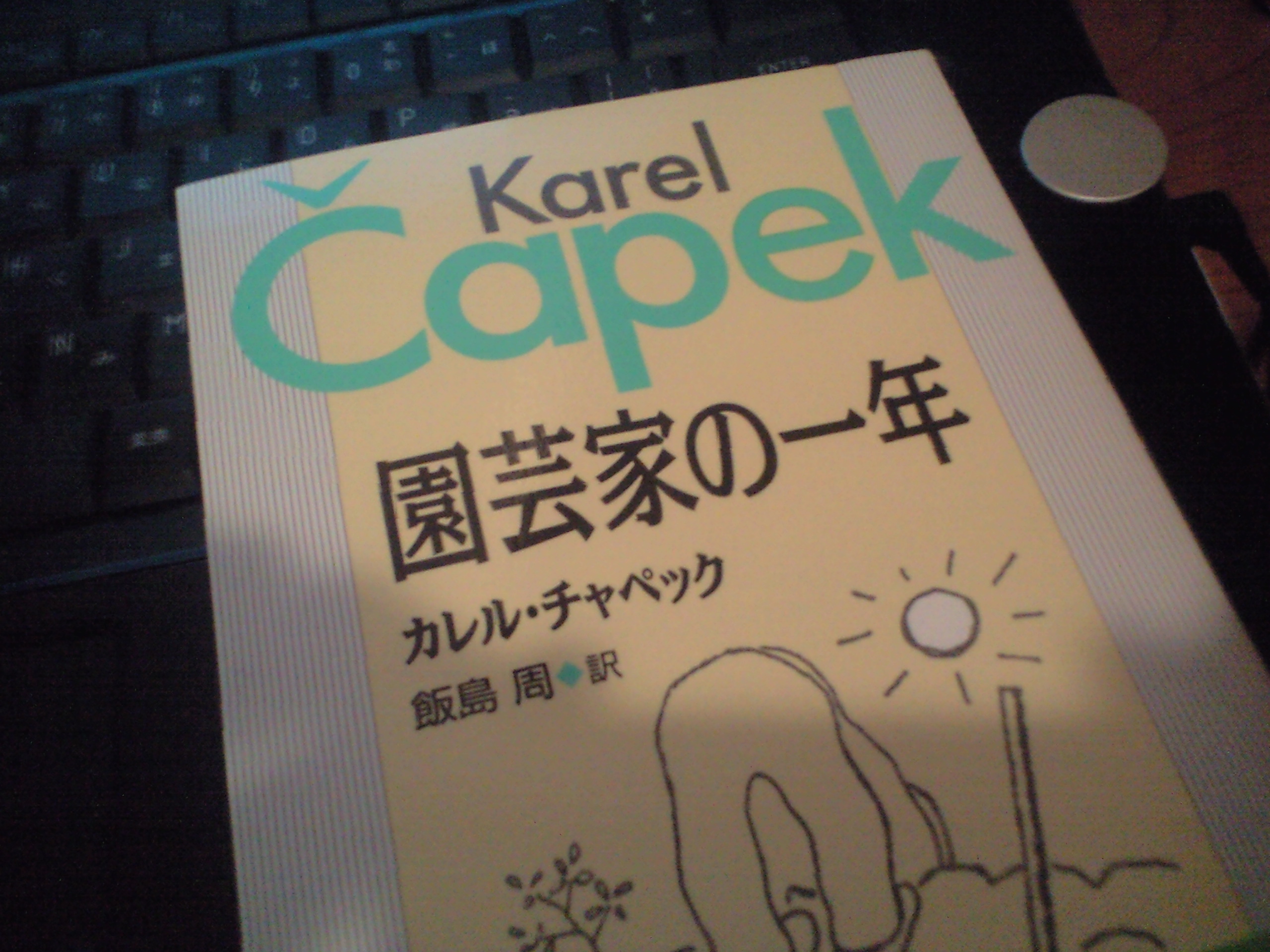 園芸家の1年 カレル チャペック 元祖 癒しのガーデニング 小さな庭作り 草花の育て方と画像